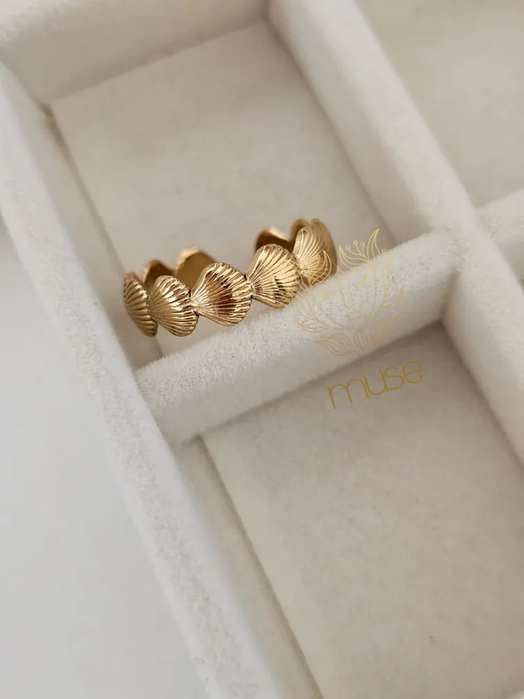 SEA RINGS SHELLS